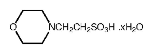 250GR MES hydrate, 99+% .