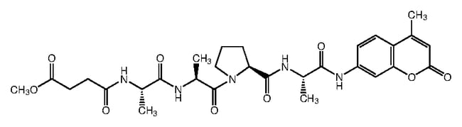 25MG Elastase Substrate V .