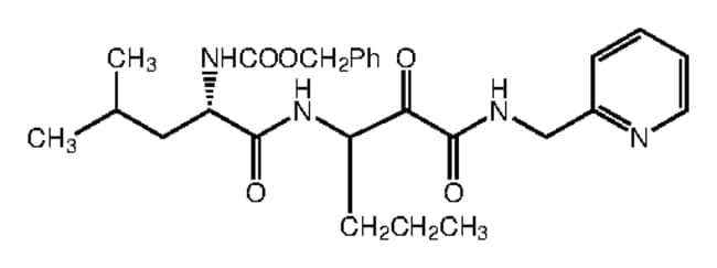 1MG Calpain Inhibitor XII .