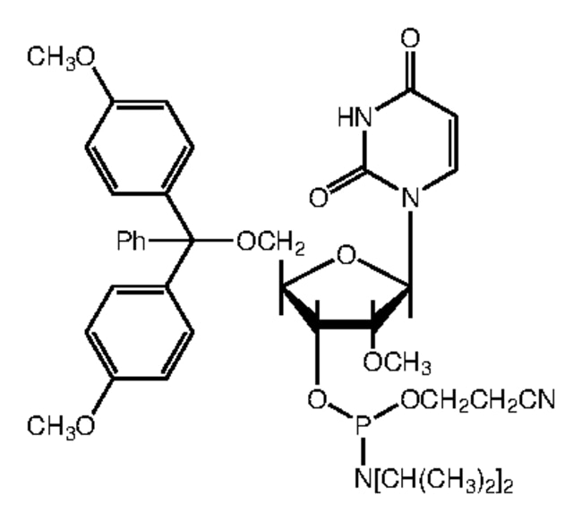 5'-O-(4,4'-Dimethoxytrityl)-2'-O-methylu