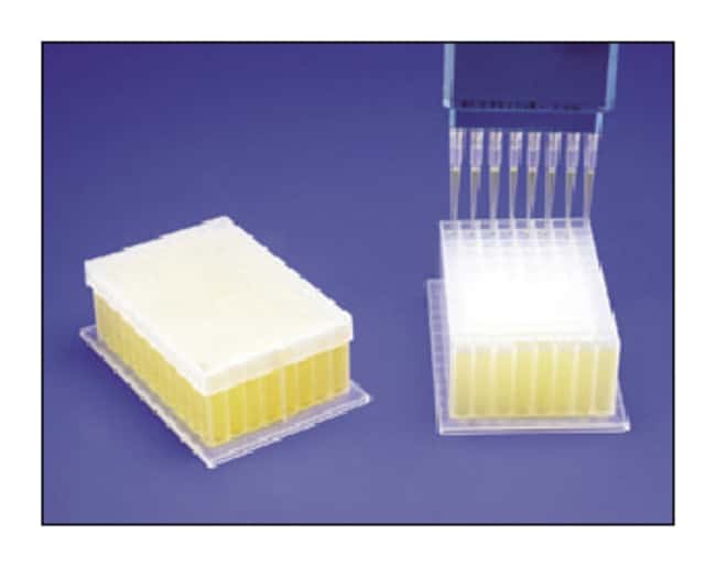 Bel-Art SP Scienceware Tiefe 96-Well Pla