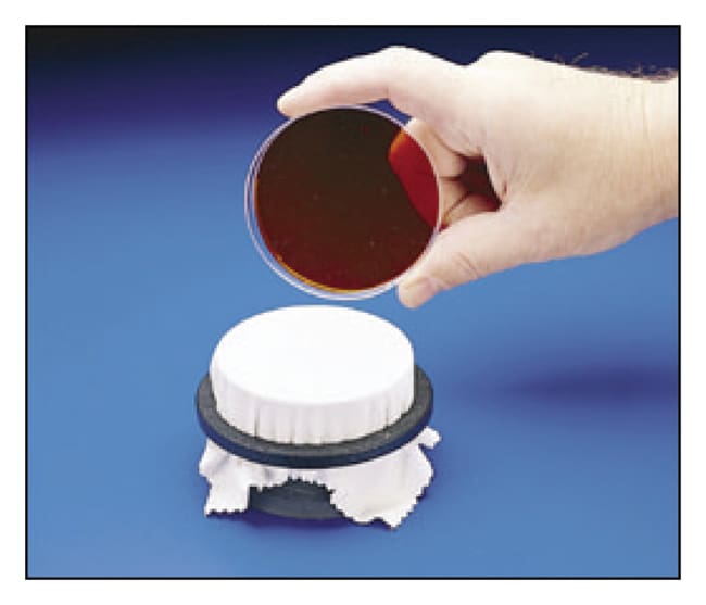 Bel-Art SP Scienceware Replica-Plating-W
