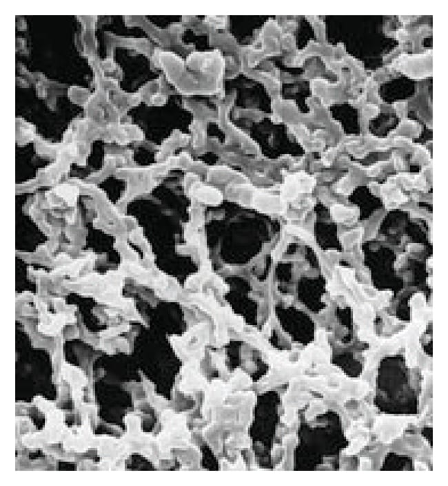 MilliporeSigma MF-Millipore Mixed Cellul