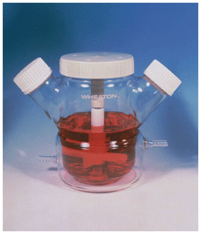 DWK Life Sciences Celstir Spinnerflasche