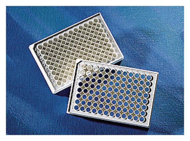 Corning 96 Well Plate, White, Non Bindin
