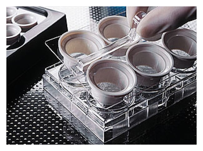 Corning Costar Netwell Trager-Kit, Auend