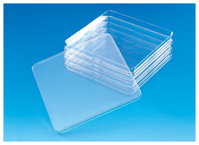 Thermo Scientific Nunc quadratische BioA