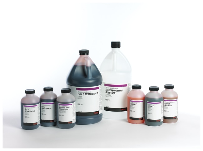 3.79 LT GILL HEMATOXYLIN 3 STAIN 3.79L