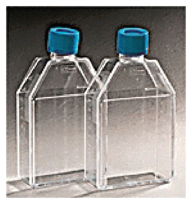 Corning BioCoat Collagen IV rechteckige