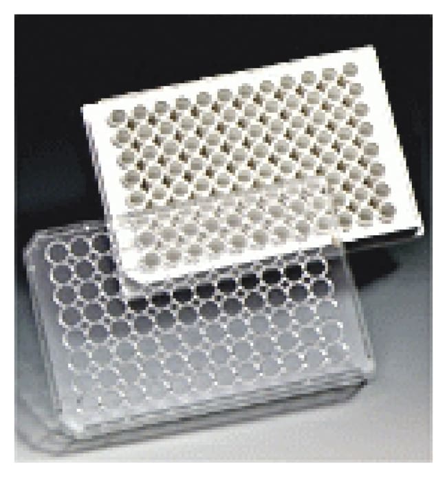Corning BioCoat Collagen I Multiwell Pla
