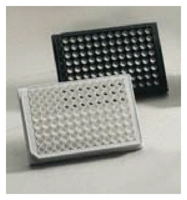 Corning BioCoat Collagen I Multiwell Pla