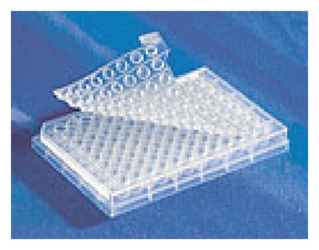 Corning Abdeckmatte III, EVA und Polymer