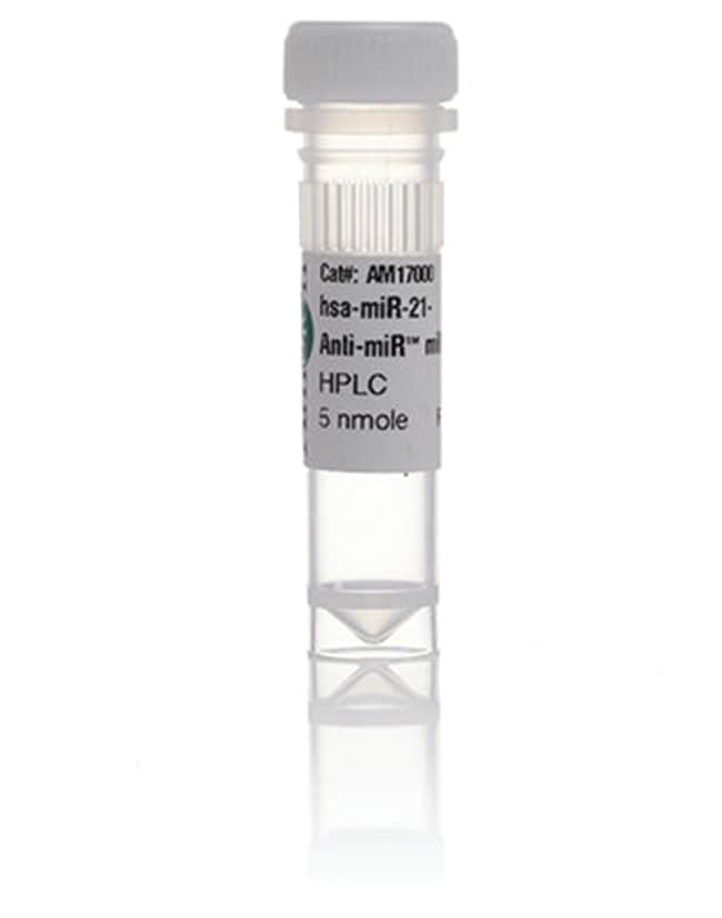 Ambion Anti-miR miRNA-Inhibitor, Menge: