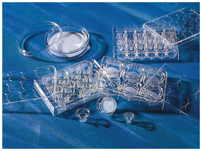 Corning Costar Transwell permeable Suppo