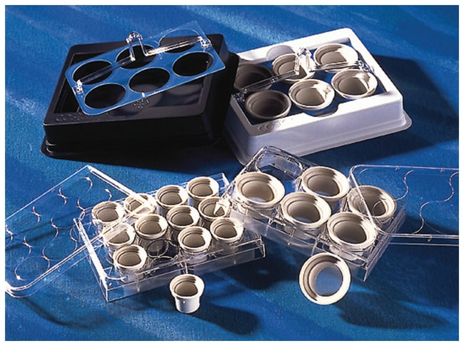 Corning Costar Netwell Reagenzientablett