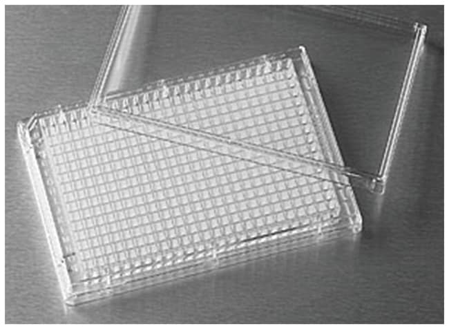 Corning Polystyrol 384-Well-Feststoffpla