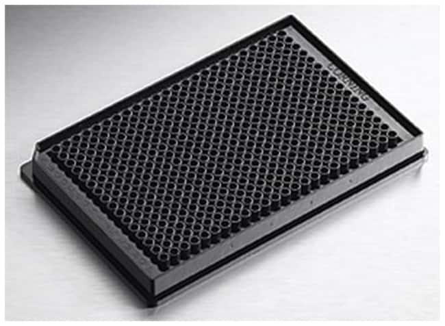 Corning 384-Well NBS-Mikrotiterplatte, B