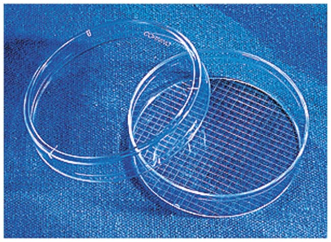 Corning TC-behandelte Kulturschale, Form