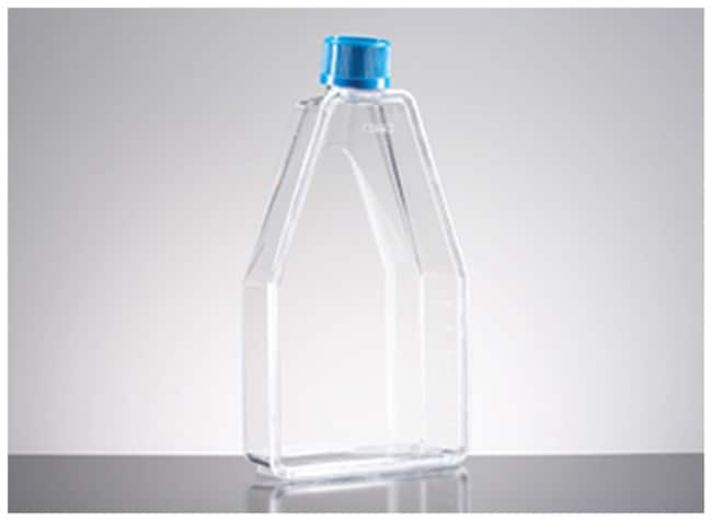 Corning BioCoat Poly-D-Lysine Kolben mit