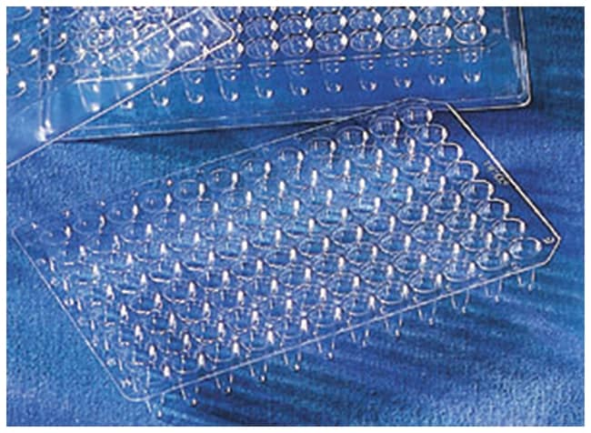 Corning Thermowell 96-Well-PCR-Mikroplat