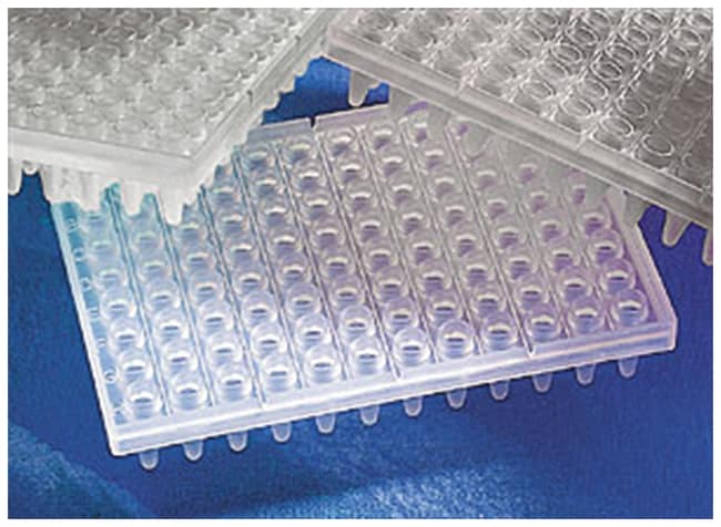 Corning Thermowell 96-Well-PCR-Mikroplat