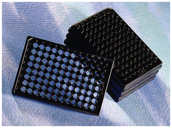 Corning CellBIND Oberflachenmikroplatten