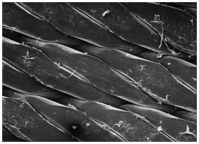 MilliporeSigma Polypropylen Netzfilter,