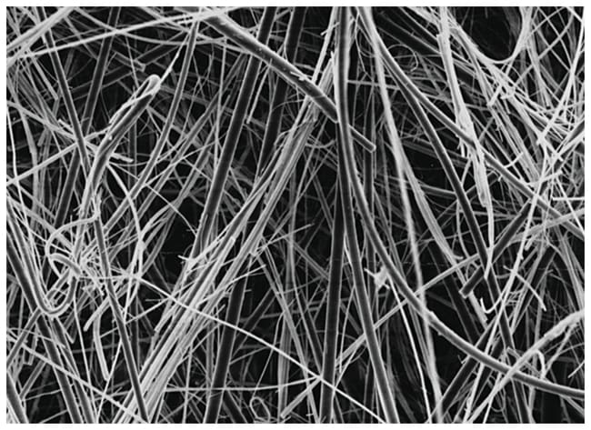 MilliporeSigma Glass Fiber Filters witho