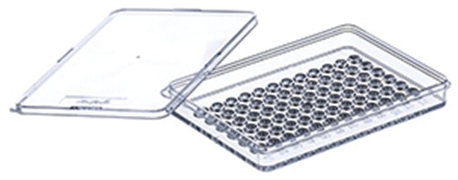 Greiner Bio-One 72-Well-Mikrotest-Platte