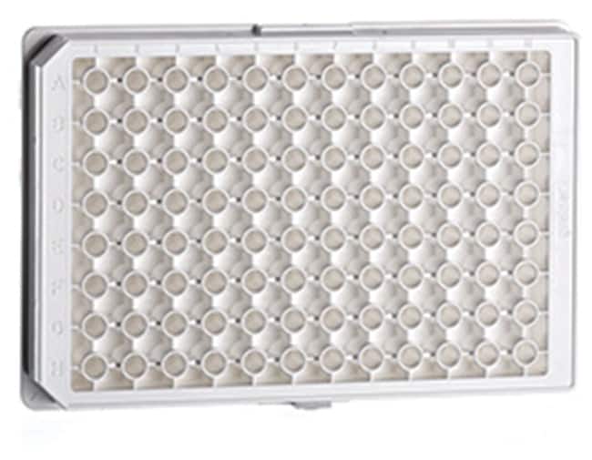 Greiner Bio-One CELLSTAR gewebekulturbeh