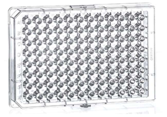 Greiner Bio-One CELLSTAR gewebekulturbeh