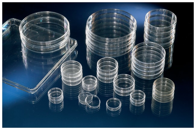 Thermo Scientific Nunc Zellkultur-/Petri