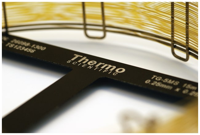 Thermo Scientific TraceGOLD TG-17MS GC S