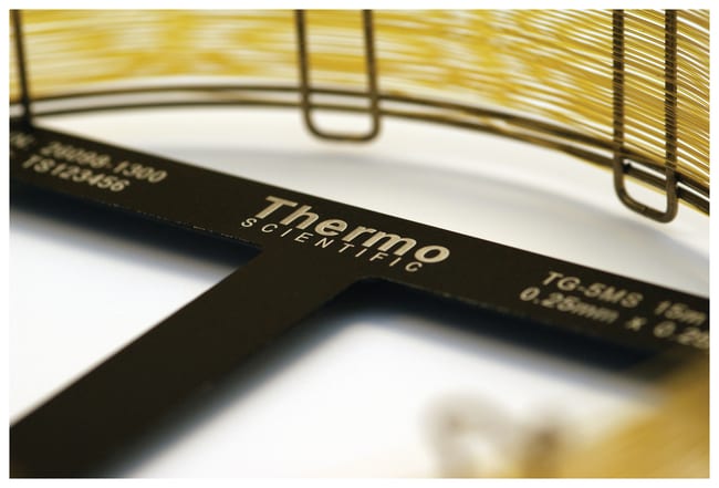 Thermo Scientific TraceGOLD TG-1MS GC Sa