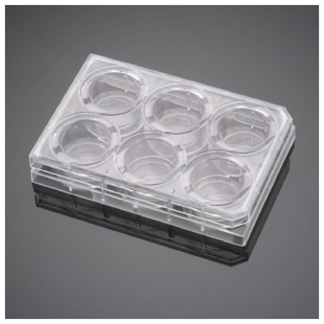 Corning BioCoat Kontrolleinsatz, Einsatz