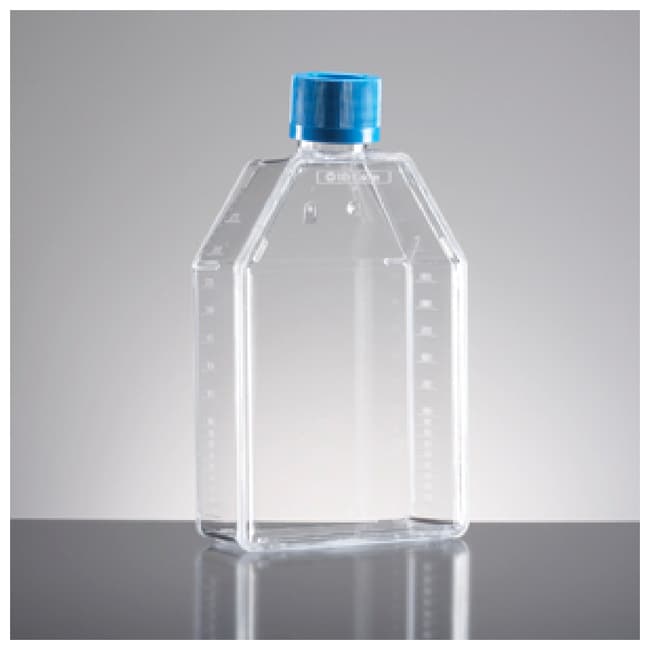 Corning BioCoat Gelatin Rechteckige Zell