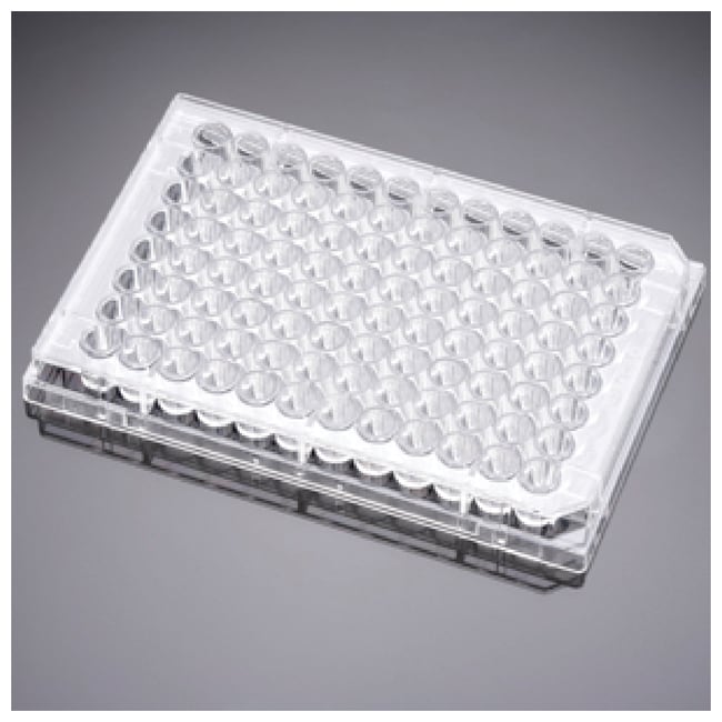 Corning BioCoat Gelatin Multiwell-Platte