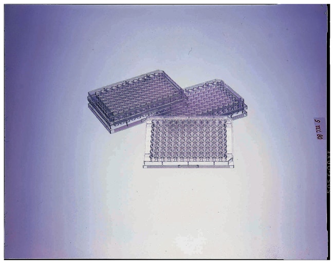 Falcon 96-Well-Assay-Platten, Boden: Run