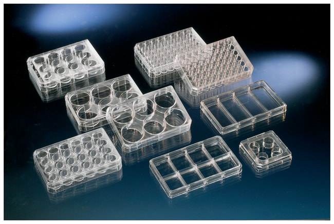 Thermo Scientific Nunc behandelte Zellku