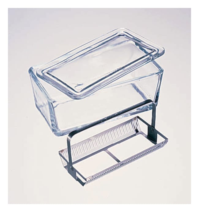 DWK Life Sciences Wheaton Fa¨rbeschalen
