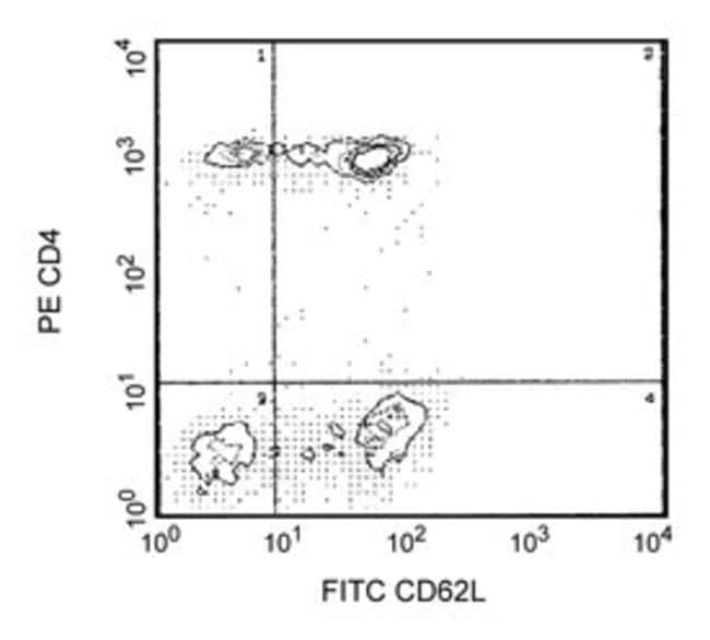 CD62L (L-selectin) FITC , Antikoerper (V