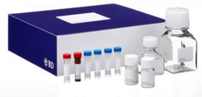 BD CBA (Cytometric Bead Array) UMaus/Rat