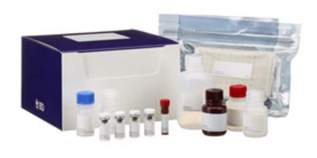 BD Human IL-1 ELISA-Kit, Kreuzreaktivita