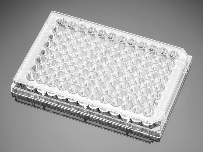 Falcon Platten fur Gewebekulturen, Boden
