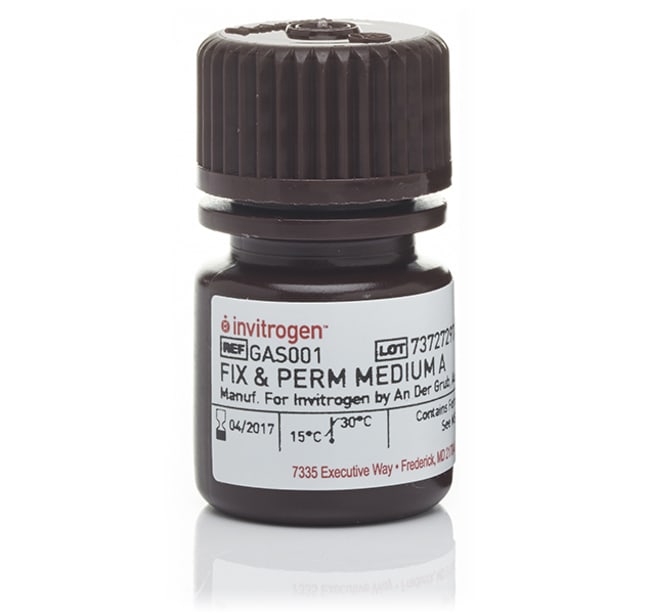 5 ML FIXATION MEDIUM-INDIVIDUAL, MEDIUM