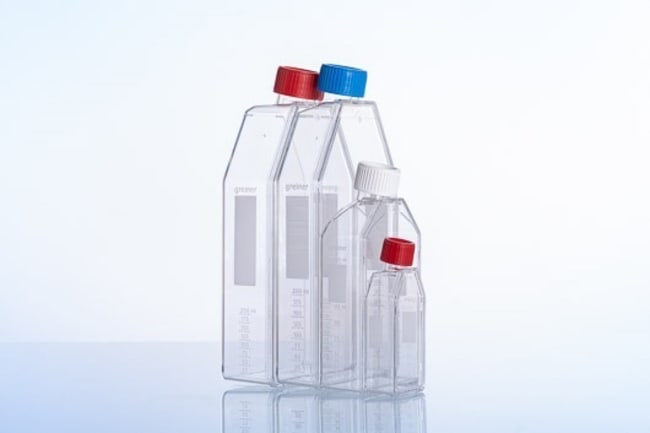 Greiner Bio-One Cellstar Zellkulturkolbe