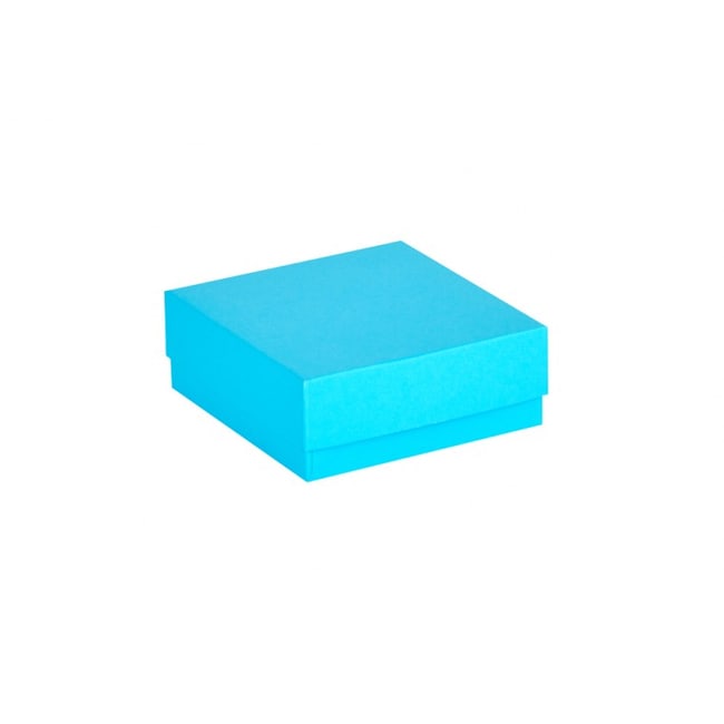 Ratiolab Cardboard Cryo Boxes With Water