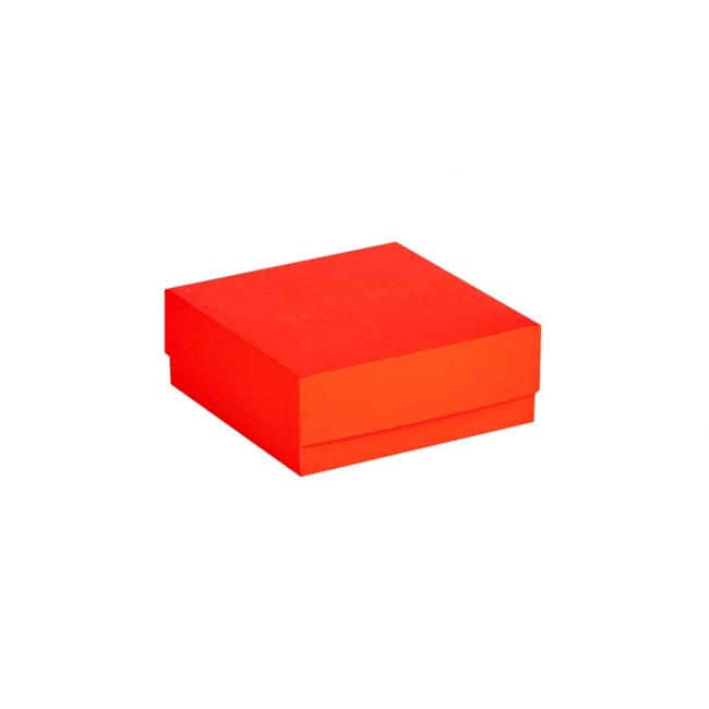 Ratiolab Cardboard Cryo Boxes With Water