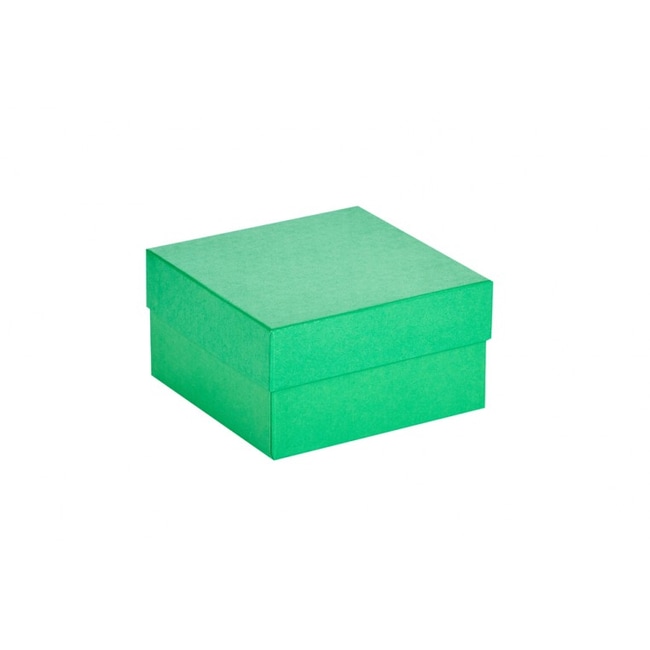 Ratiolab Cardboard Cryo Boxes With Water