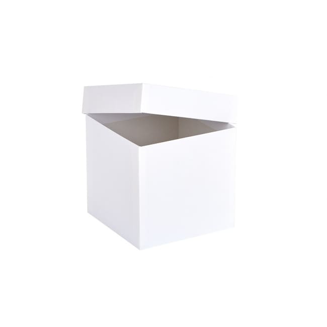 Ratiolab Cardboard Cryo Boxes With Water